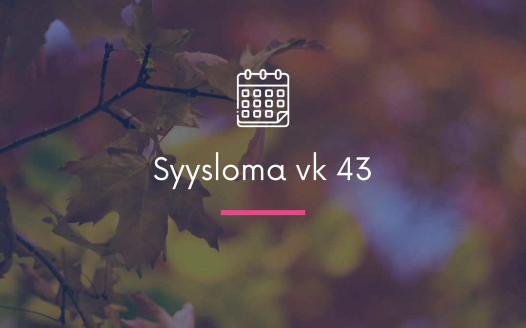 SYYSLOMA VK 43